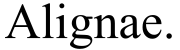 Alignae Logo